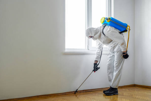 Professional Pest Control in Rutherford College, NC